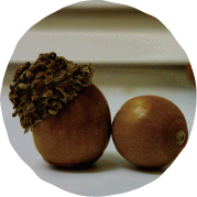 銀座椚治療院ってどんなところ？