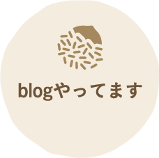 blogやってます